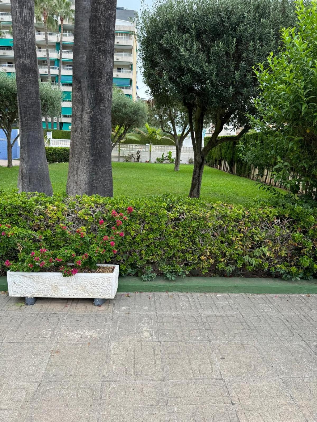 Laramar Apartment Playa de Gandia Exterior photo